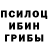 Псилоцибиновые грибы мухоморы Dibob