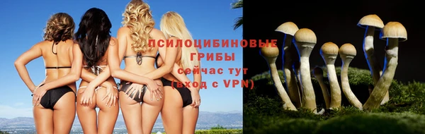 марки lsd Бронницы