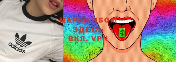 сатива Бугульма