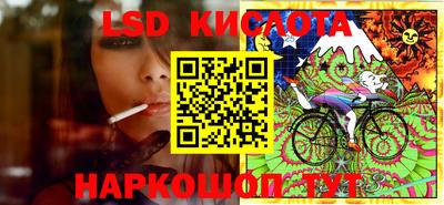 ПСИЛОЦИБИНОВЫЕ ГРИБЫ Можга