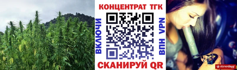 Дистиллят ТГК Wax  MEGA маркетплейс  Вольск 