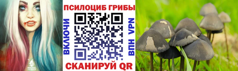 кракен сайт  купить наркотики цена  Вольск  Псилоцибиновые грибы мицелий 