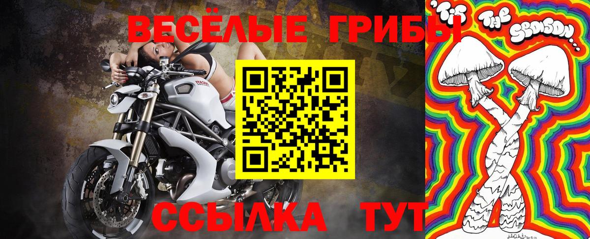 Галлюциногенные грибы мухоморы Вольск