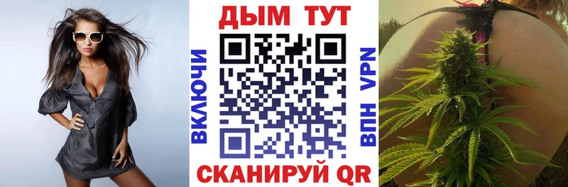 Канабис сатива  Вольск 